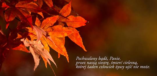 Pieśń słoneczna - Siostra śmierć i życie wieczne ludzi