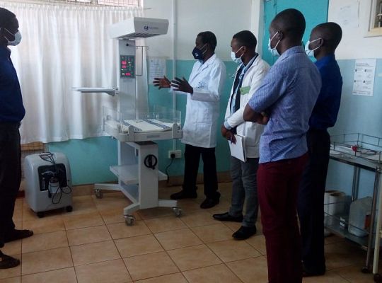 Grafika #0: Owoce akcji Woreczek Ryżu