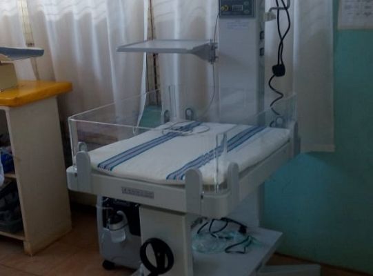 Grafika #1: Owoce akcji Woreczek Ryżu