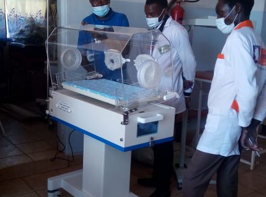 Grafika #4: Owoce akcji Woreczek Ryżu