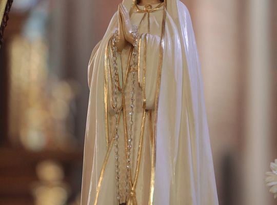 Grafika #37: Święto Prowincji 2018