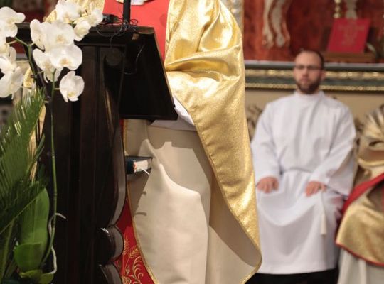 Grafika #24: Święto Prowincji 2017