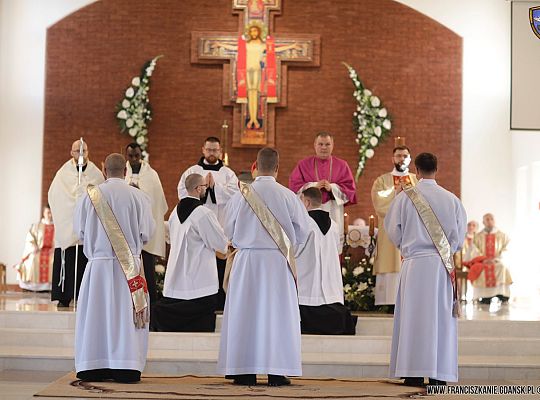 Grafika #11: Święcenia 2017