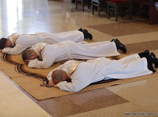 Grafika #16: Święcenia 2017