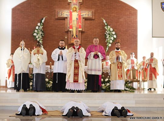 Grafika #18: Święcenia 2017