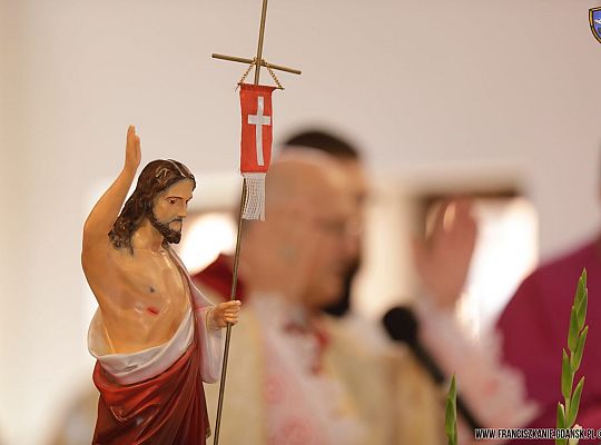 Grafika #43: Święcenia 2017