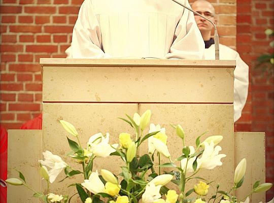 Grafika #21: Święto Prowincji 2013