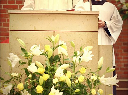 Grafika #22: Święto Prowincji 2013