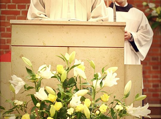 Grafika #23: Święto Prowincji 2013