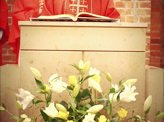 Grafika #24: Święto Prowincji 2013