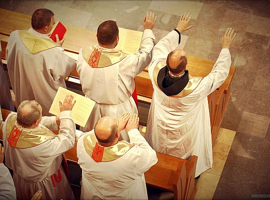 Grafika #37: Święto Prowincji 2013