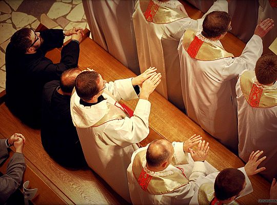 Grafika #38: Święto Prowincji 2013