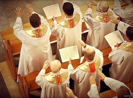 Grafika #40: Święto Prowincji 2013