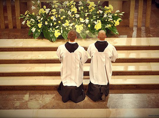 Grafika #42: Święto Prowincji 2013