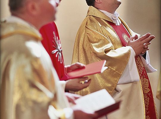 Grafika #20: Wilno: Pierwszy odpust i Order św. Stanisława