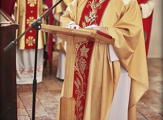 Grafika #49: Wilno: Pierwszy odpust i Order św. Stanisława