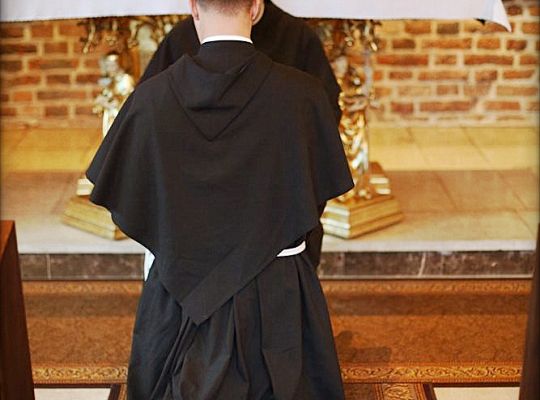 Grafika #8: Nowy wikariusz prowincji