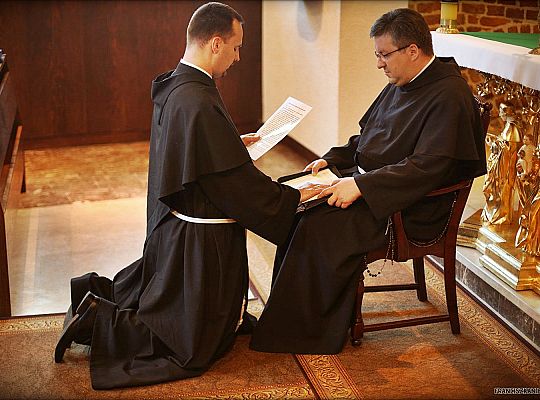 Grafika #7: Nowy wikariusz prowincji