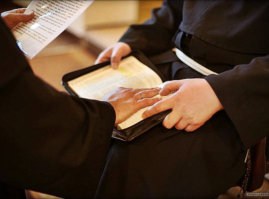 Grafika #6: Nowy wikariusz prowincji