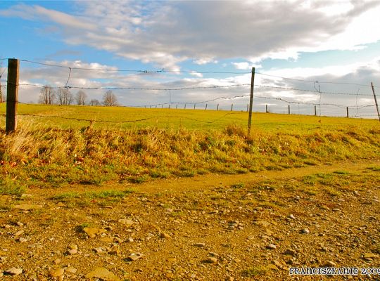Grafika #1: Rekolekcje zakonne na Kalwarii