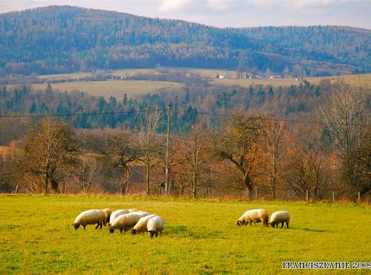 Grafika #9: Rekolekcje zakonne na Kalwarii