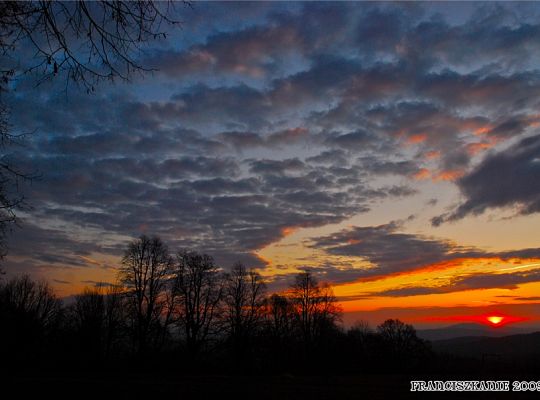 Grafika #15: Rekolekcje zakonne na Kalwarii