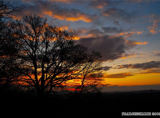 Grafika #16: Rekolekcje zakonne na Kalwarii
