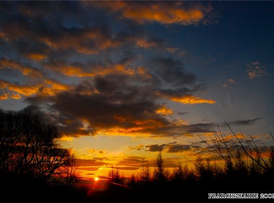 Grafika #17: Rekolekcje zakonne na Kalwarii