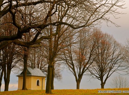 Grafika #6: Rekolekcje zakonne na Kalwarii