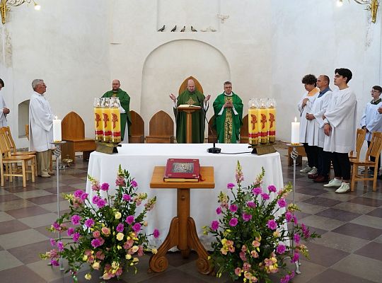 Grafika #11: Poświęcenie organów w wileńskim kościele