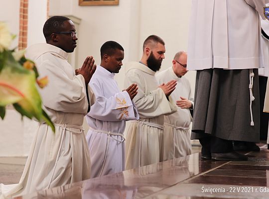 Grafika #42: Święcenia diakonatu i prezbiteratu 2021