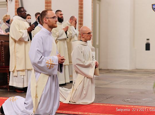 Grafika #66: Święcenia diakonatu i prezbiteratu 2021