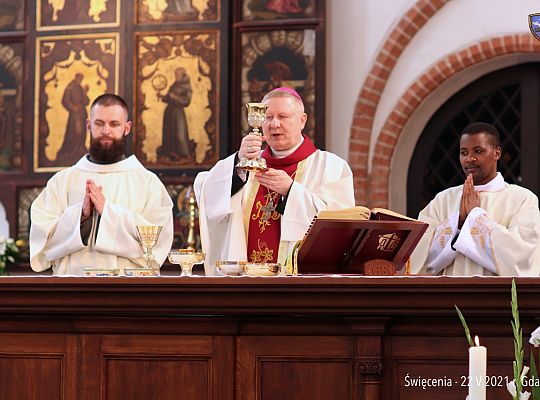 Grafika #77: Święcenia diakonatu i prezbiteratu 2021