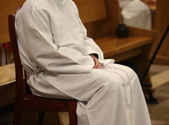 Grafika #8: Święcenia 2015