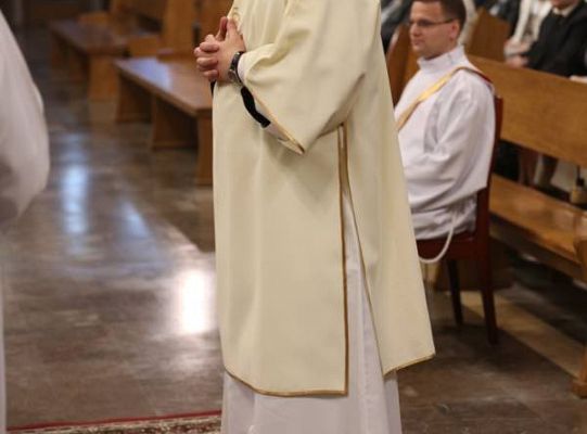 Grafika #23: Święcenia 2015