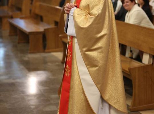 Grafika #30: Święcenia 2015