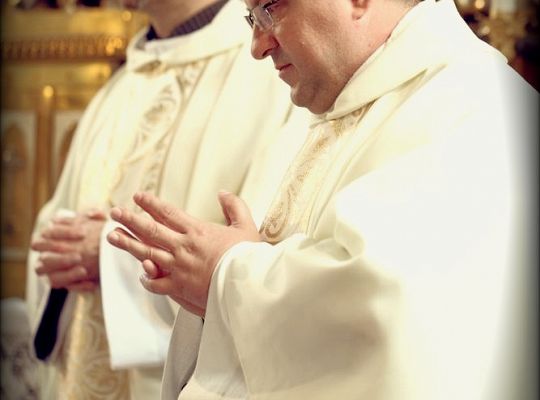 Grafika #24: Imieniny wikariusza i sekretarza prowincji 2014