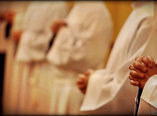 Grafika #17: Święcenia 2014