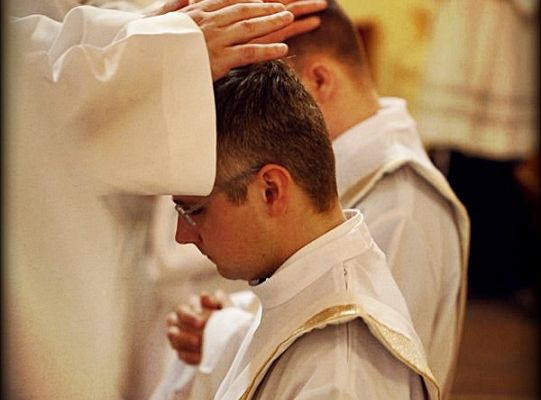 Grafika #25: Święcenia 2014