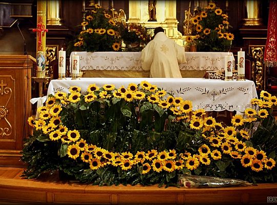 Grafika #37: Święcenia 2014