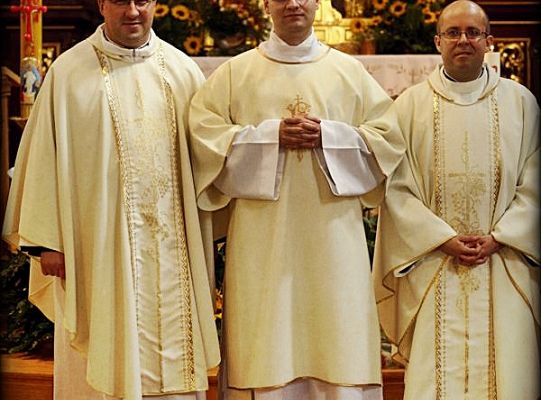 Grafika #41: Święcenia 2014