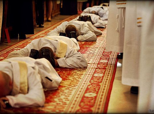 Grafika #20: Święcenia 2014