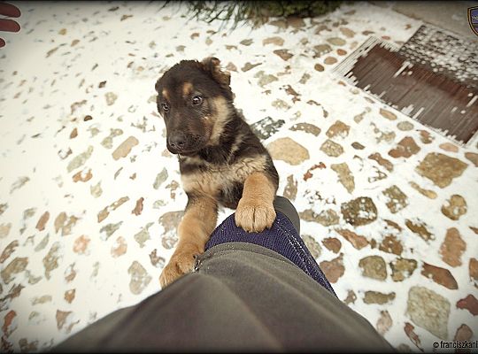 Grafika #9: Wizyta na pustelni