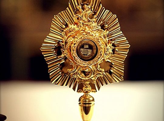 Grafika #48: Święto Prowincji 2012