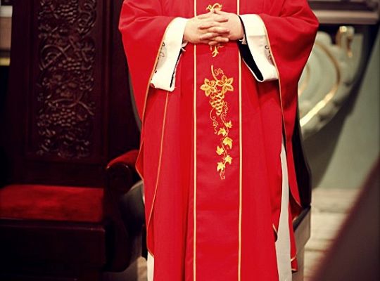 Grafika #55: Święto Prowincji 2012