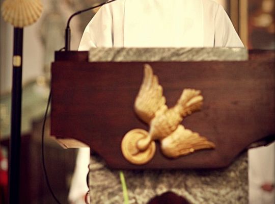 Grafika #61: Święto Prowincji 2012