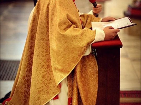 Grafika #77: Święto Prowincji 2012