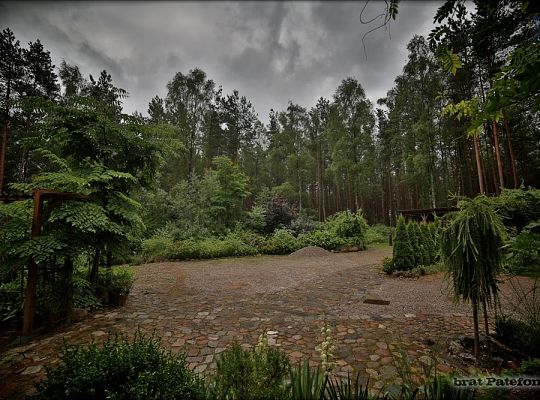 Grafika #10: Pustelnia: nowy przełożony