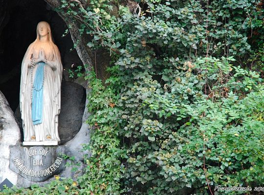 Grafika #3: Lourdes: spotkanie na rzecz dialogu