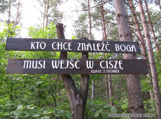 Grafika #0: Franciszkańska pustelnia: jesienne spojrzenie